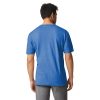 Adult Softstyle Cotton T-Shirt, Style G64000, Multipack