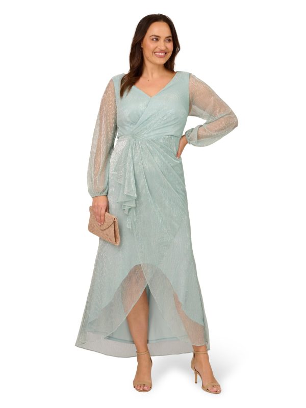 Women's Metallic Mesh Gown