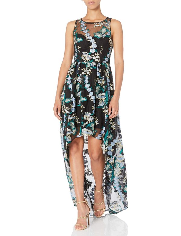 Women's Embroidered Tulle Long Dress