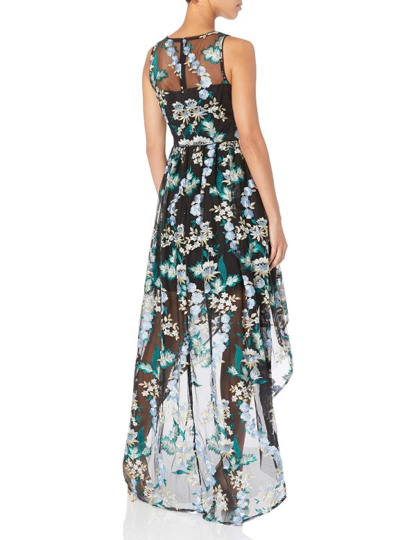 Women's Embroidered Tulle Long Dress